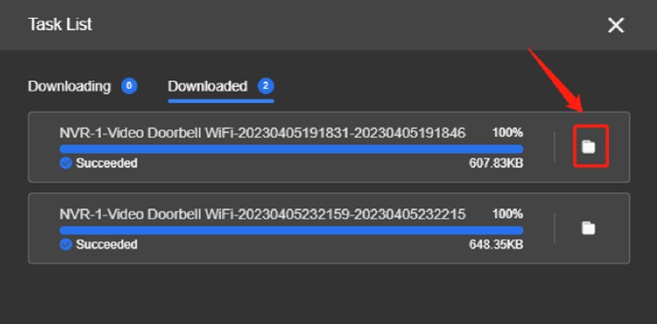 Reolink Client: downloaded files