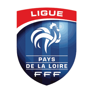 FFF Once Sport Analyser