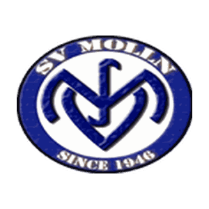 SV Mollen Once Sport Analyser